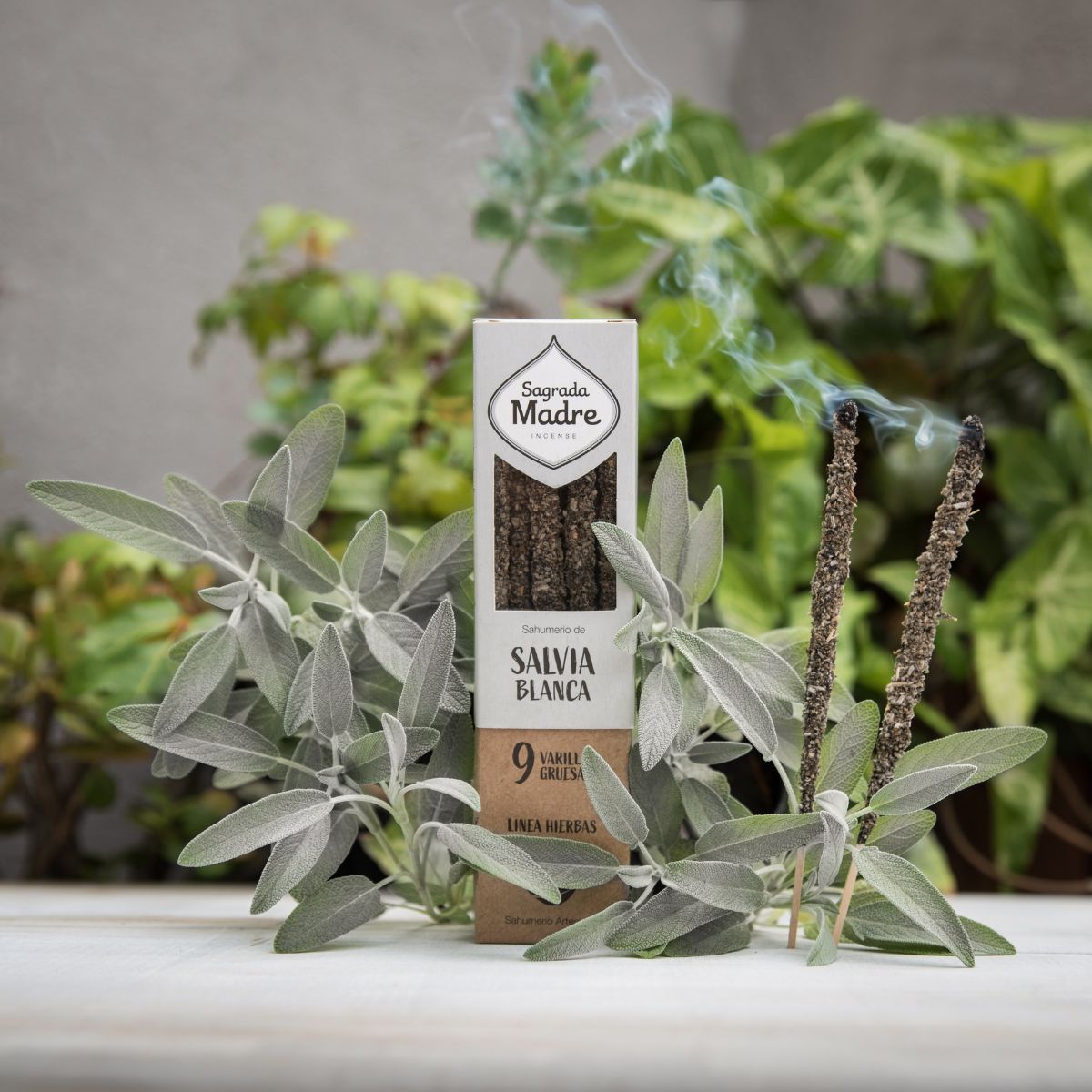Sahumerio Hierbas Salvia Blanca