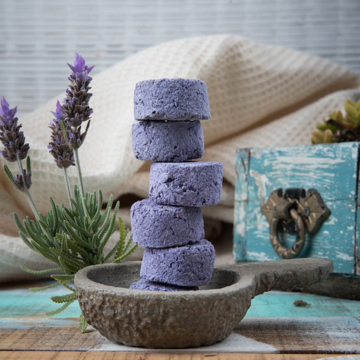 Carbón Lavanda 24u