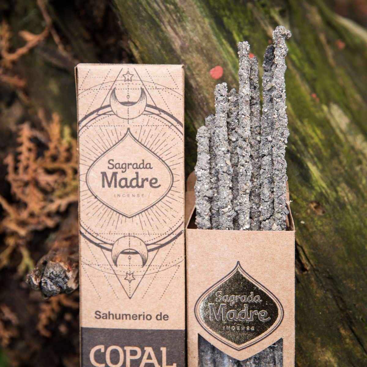 Sahumerio Copal Natural