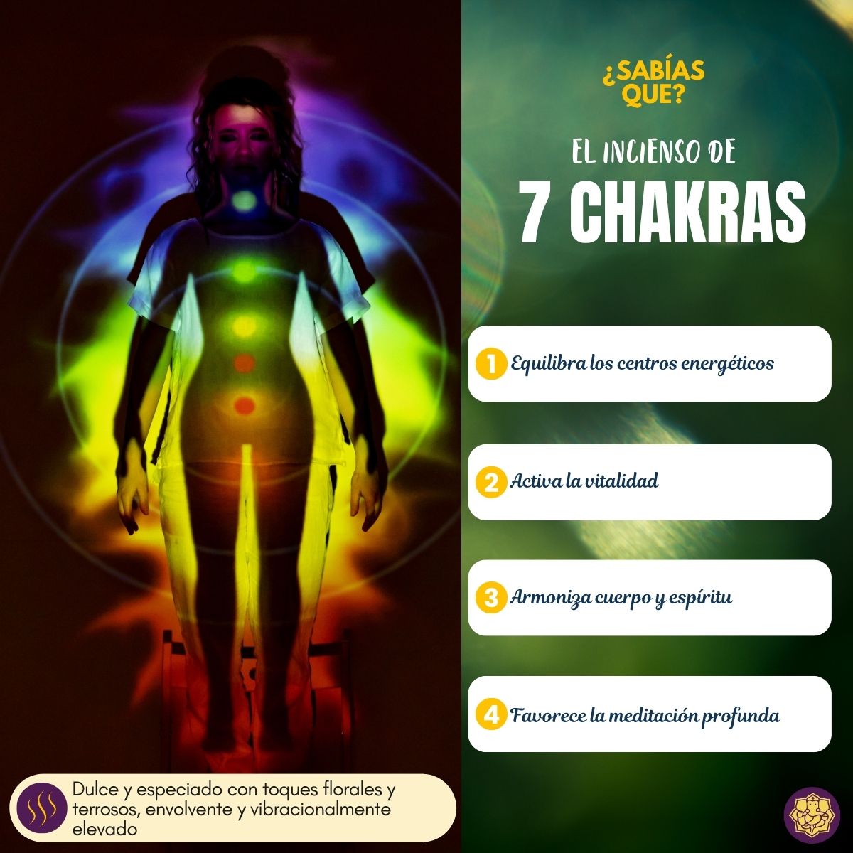 Incienso Cascada Siete Chakras 120 conos