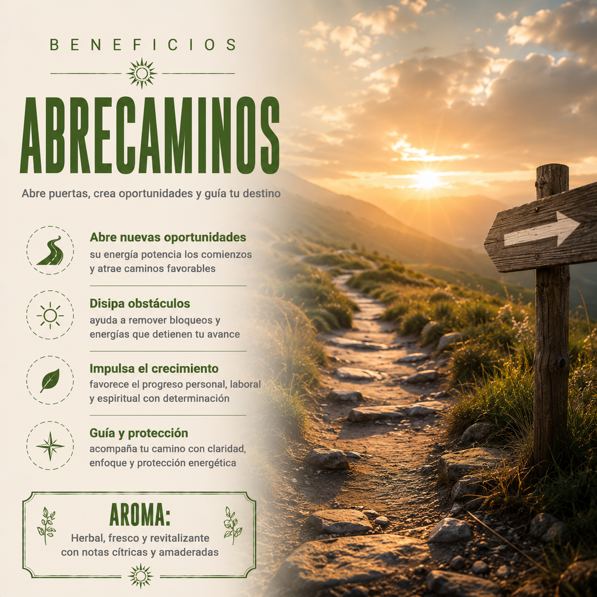 Aceite Aromático Abrecaminos