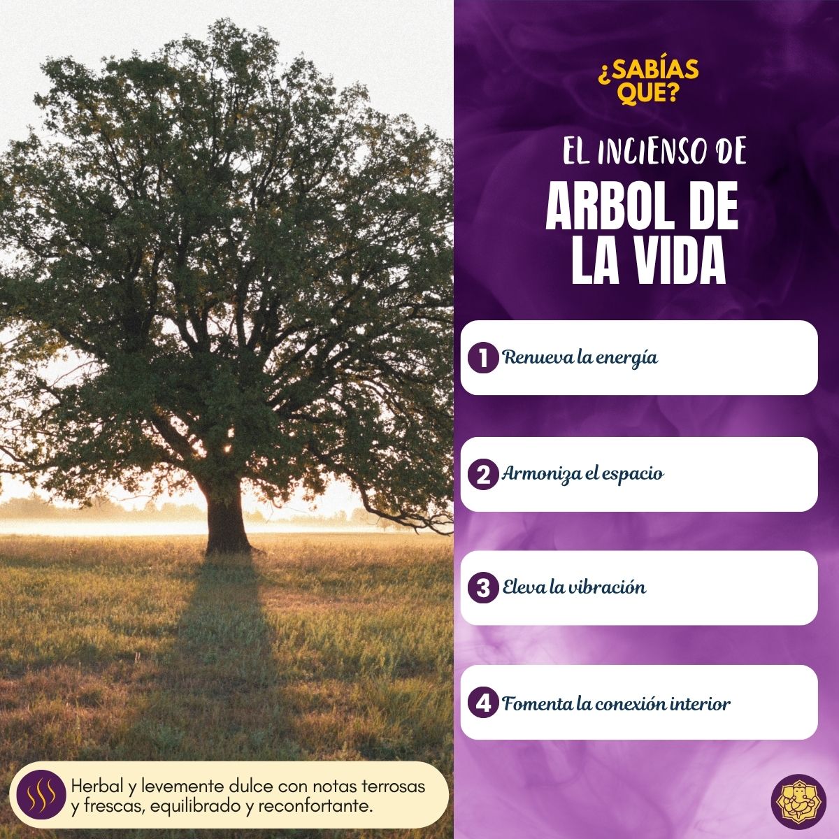 Incienso Cascada Árbol de la Vida 120 conos