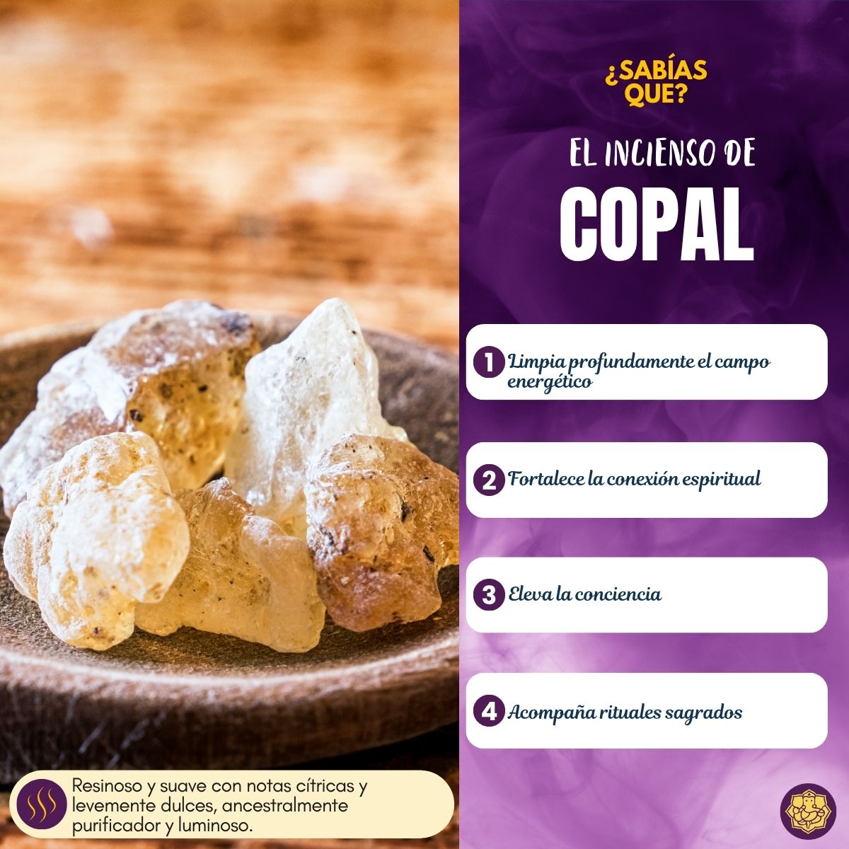 Incienso Cascada Copal 120 conos