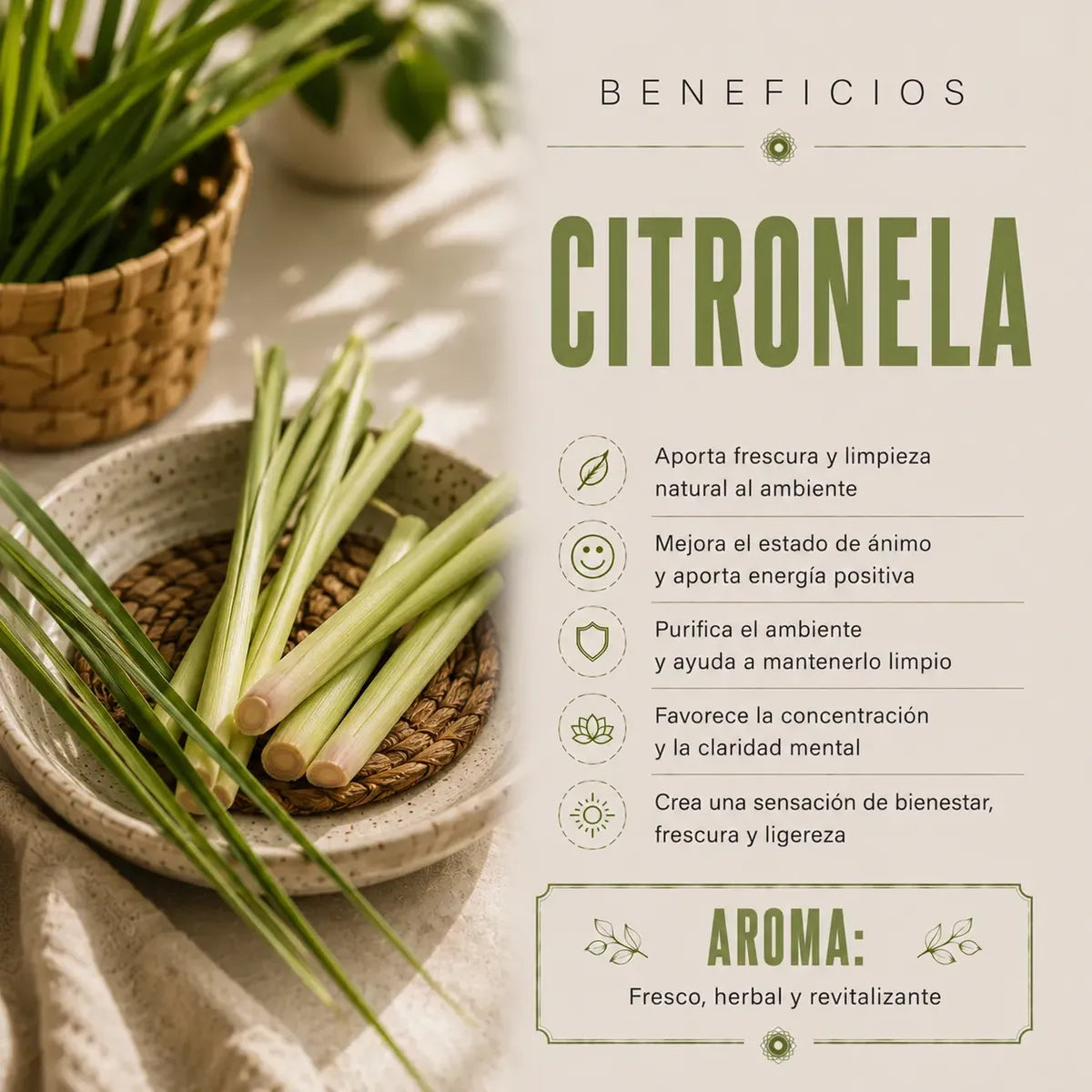 Incienso Duo Nag Champa y Green Citronella