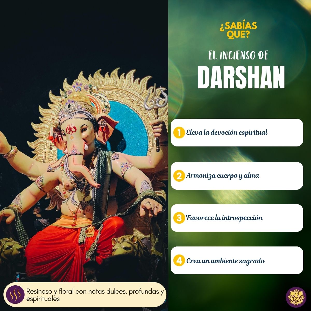 Incienso Nag Darshan