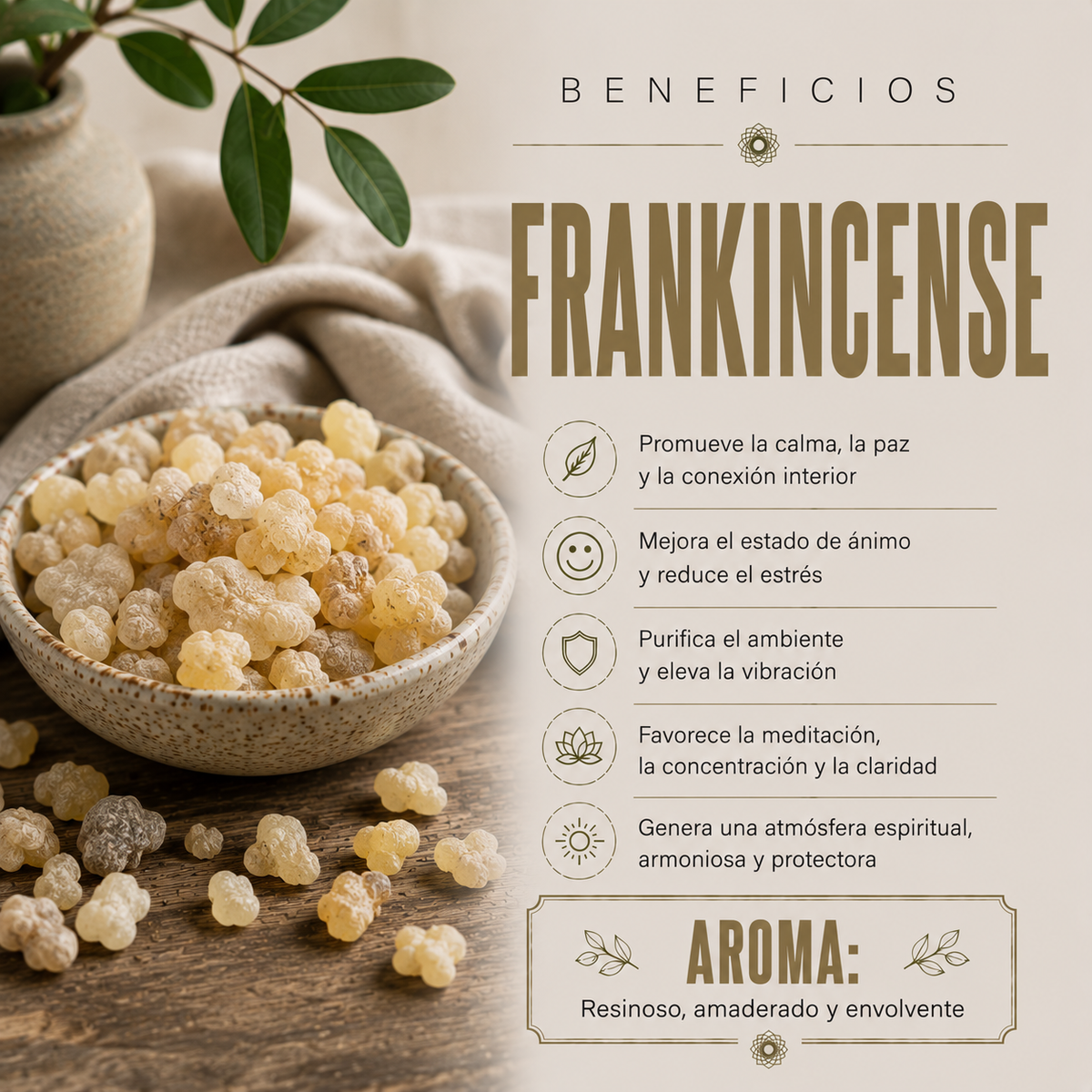 Resina Frankinciense