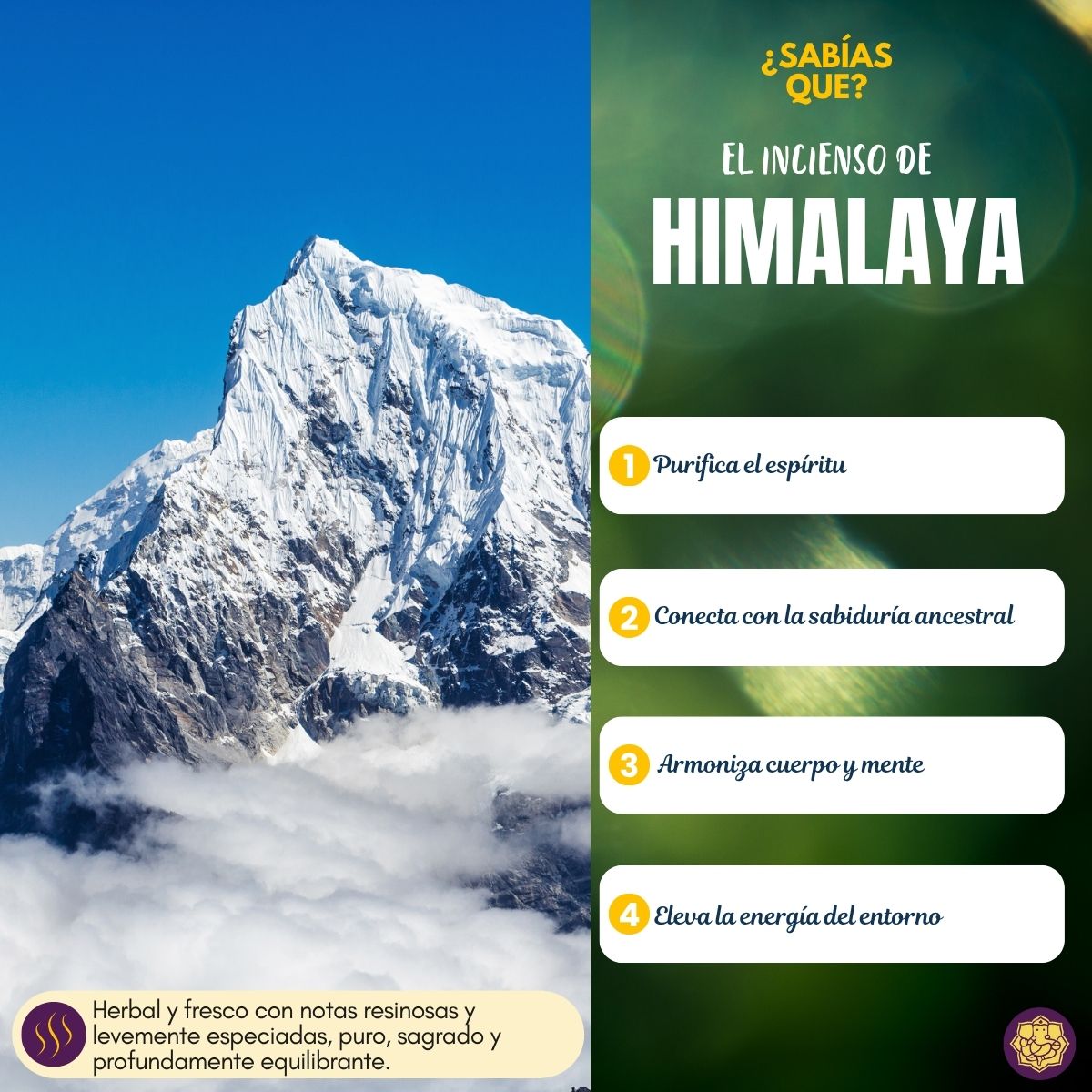 Incienso Golden Nag Himalaya