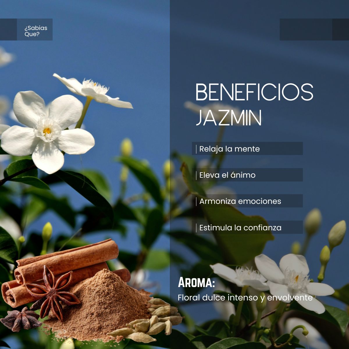 Aceite Esencial Jazmin