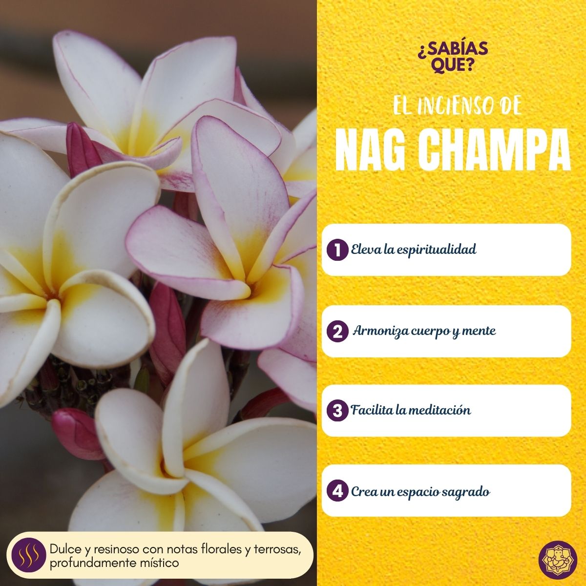 Incienso Organico Nag Champa