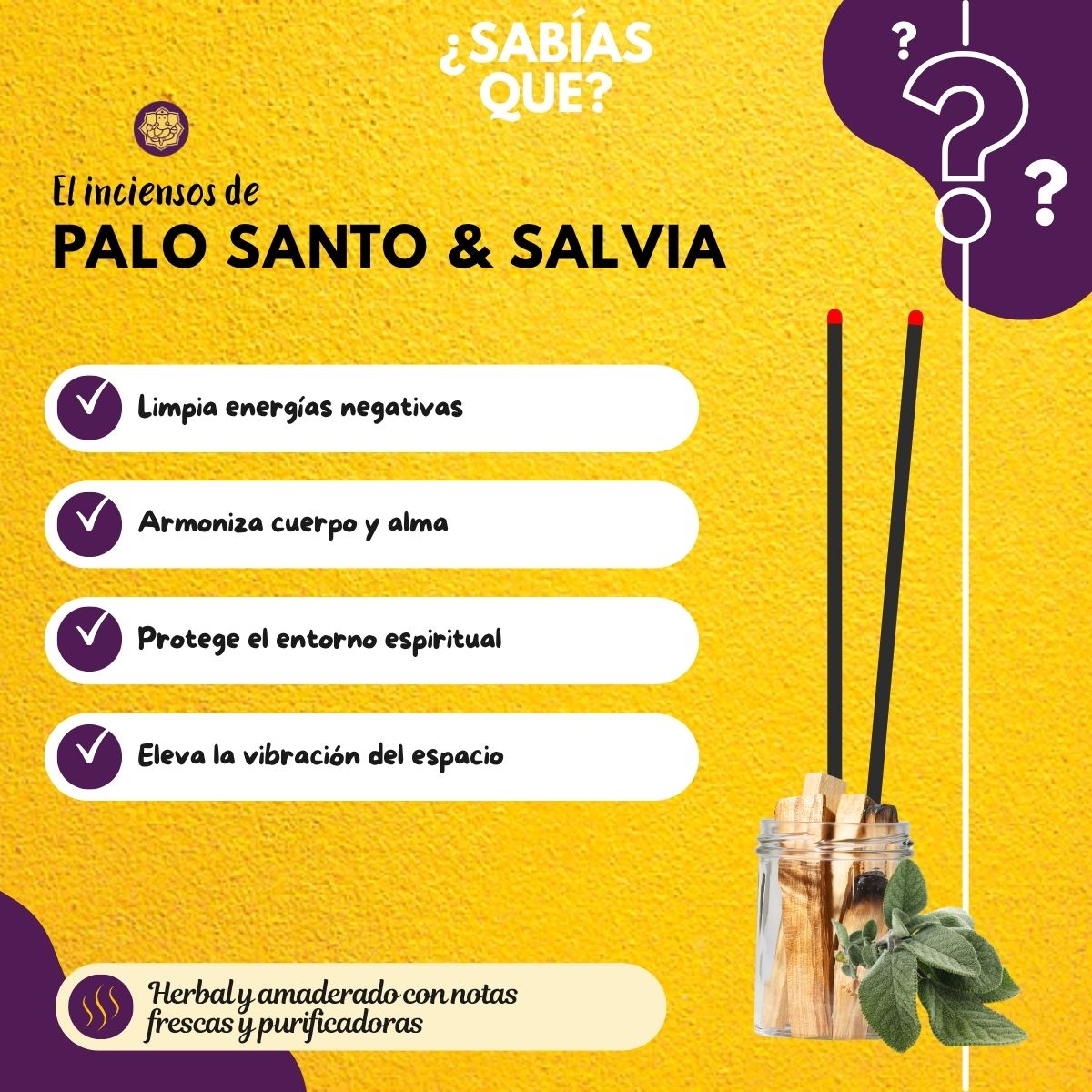 Incienso Cascada Salvia Blanca + Palo Santo 10Conos