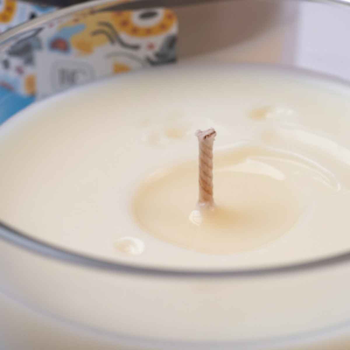Vela Manzana Canela 210gr