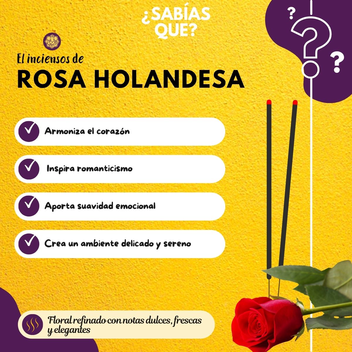 Incienso Rosa Holandesa