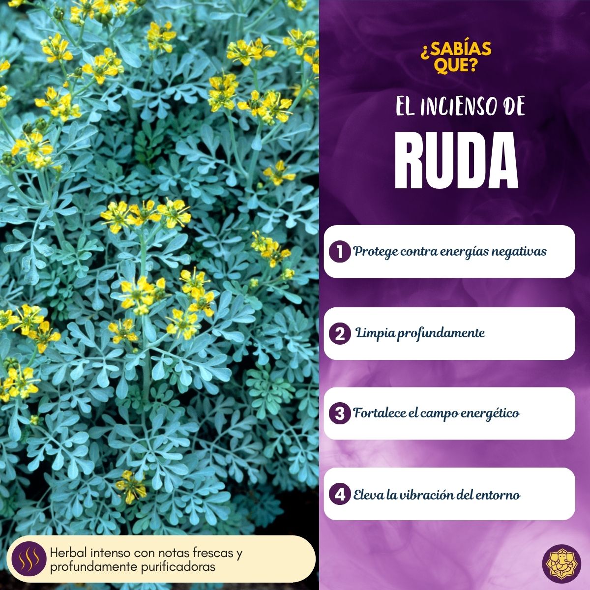Incienso Fit Ruda