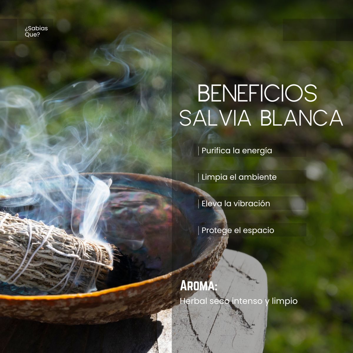 Aceite Aromático Salvia Blanca de California