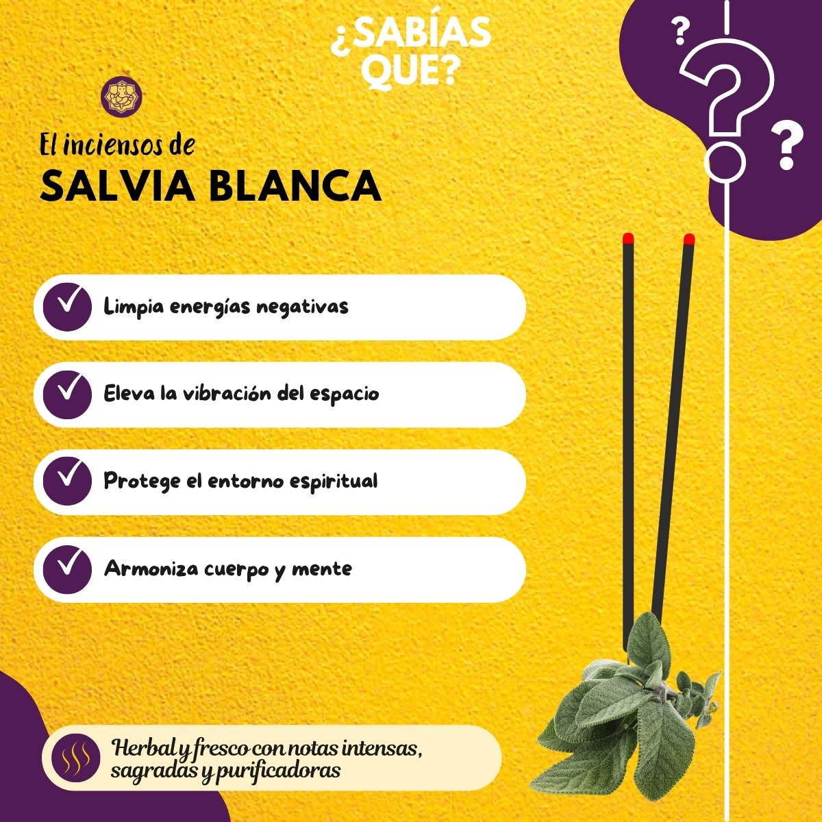 Ladrillos de Incienso Salvia Blanca
