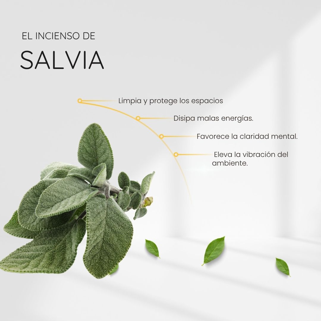 Incienso Organico Salvia Blanca