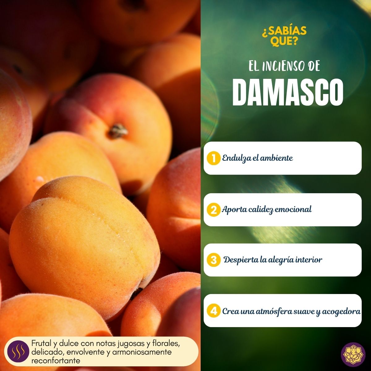 Incienso Damasco