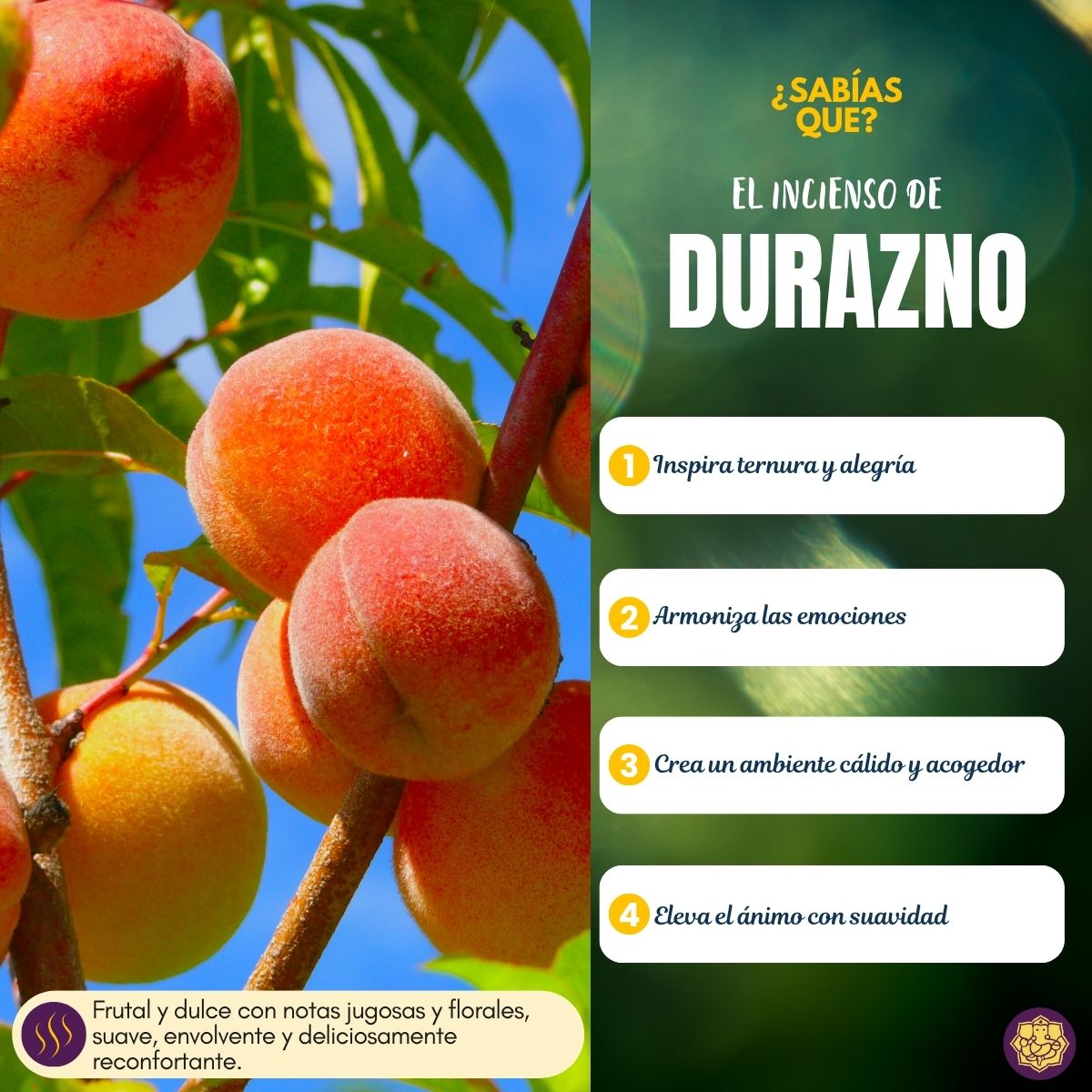 Incienso Durazno