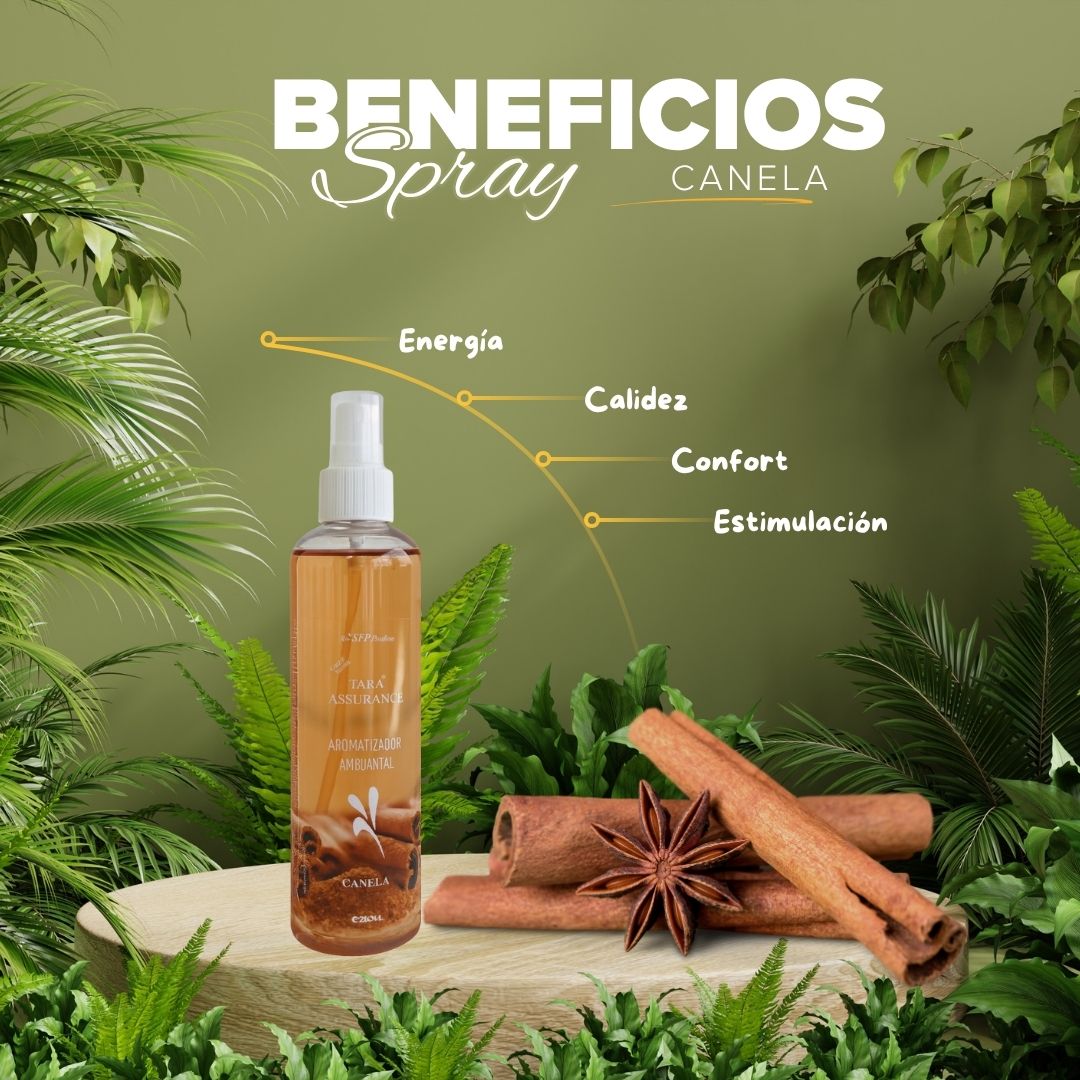 Aromatizante Spray Canela 250 mL