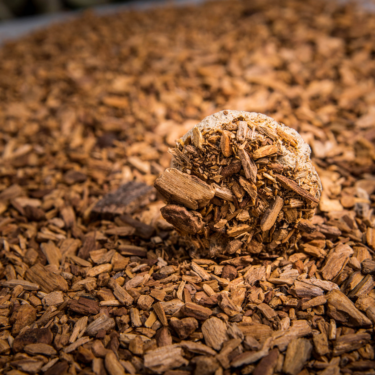 Pastillas Palo Santo