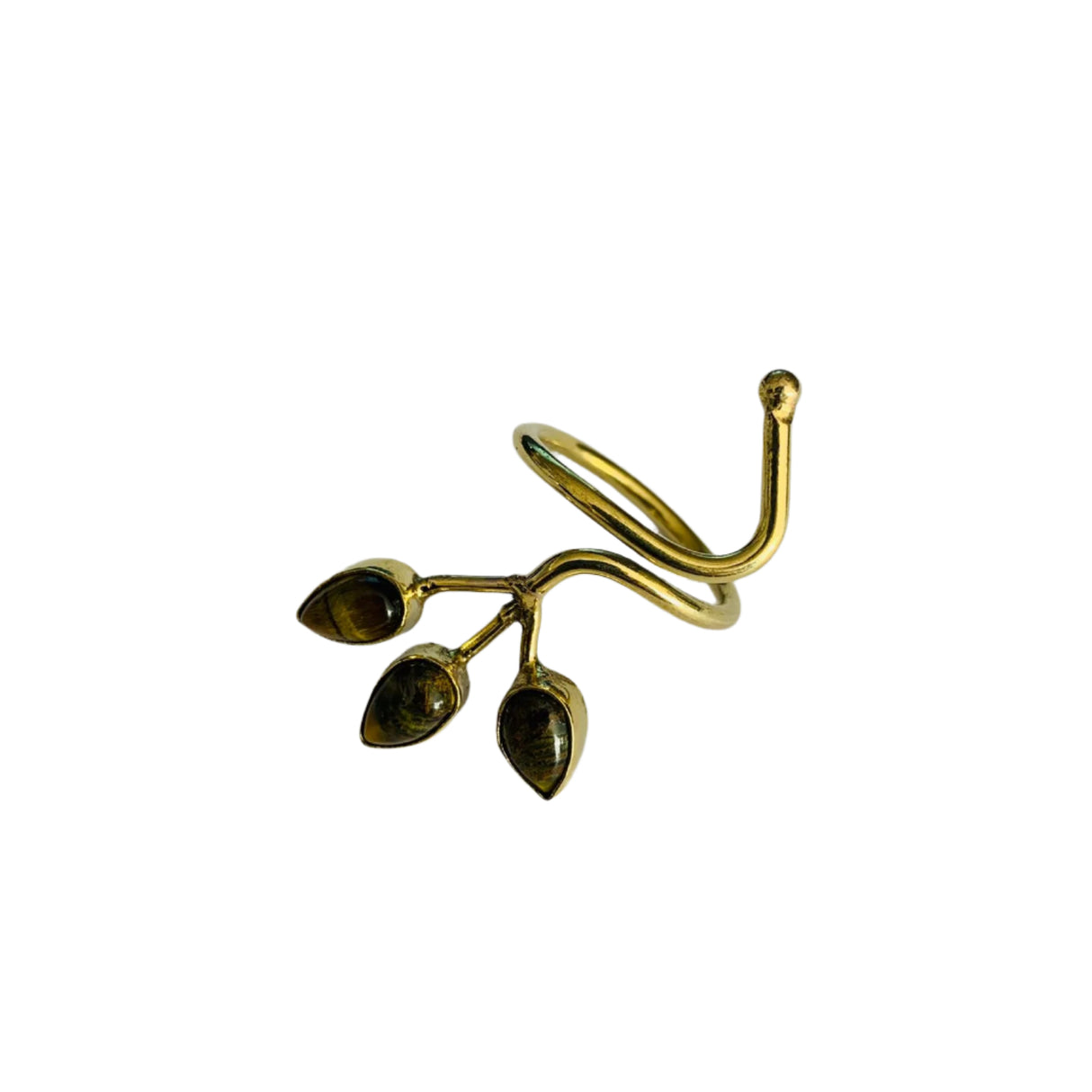 Anillo Hoja de la Vida Ojo de Tigre