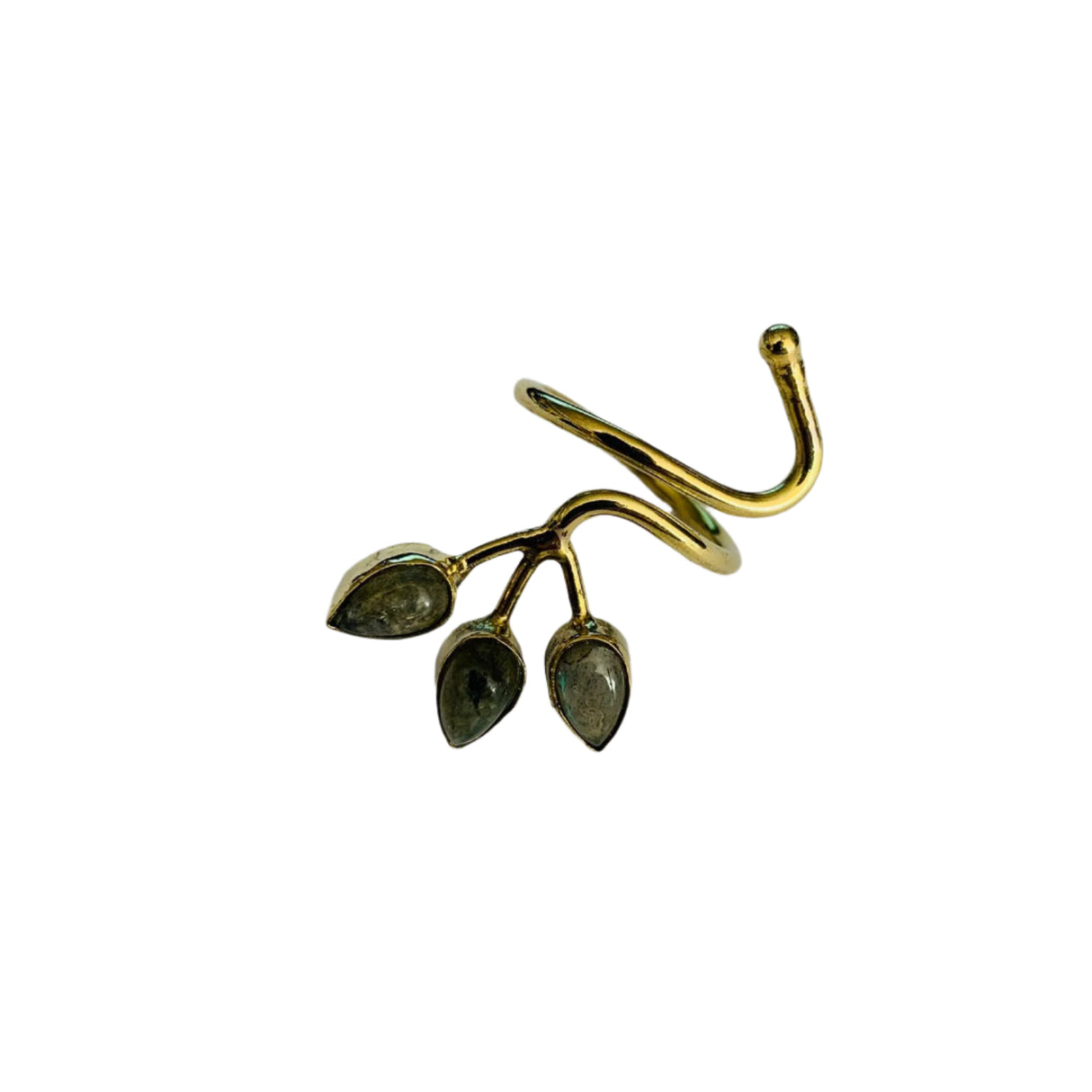 Anillo Hoja de la Vida Labradorita