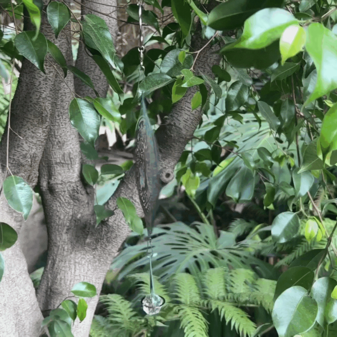 Anillo de Viento Árbol de la Vida