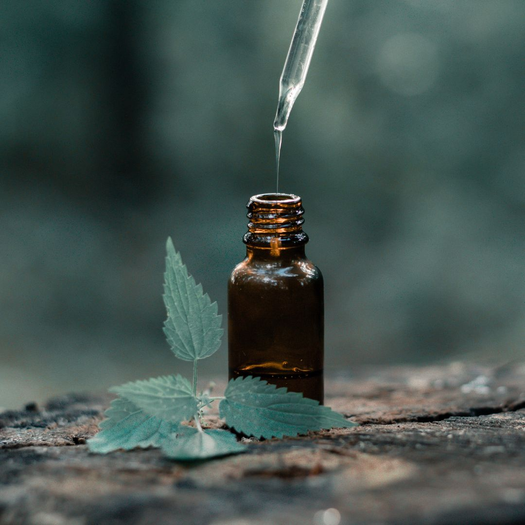 Song of India - Aceites Esenciales