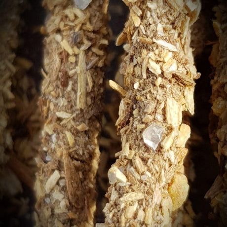 Sahumerio Palo Santo con Incienso