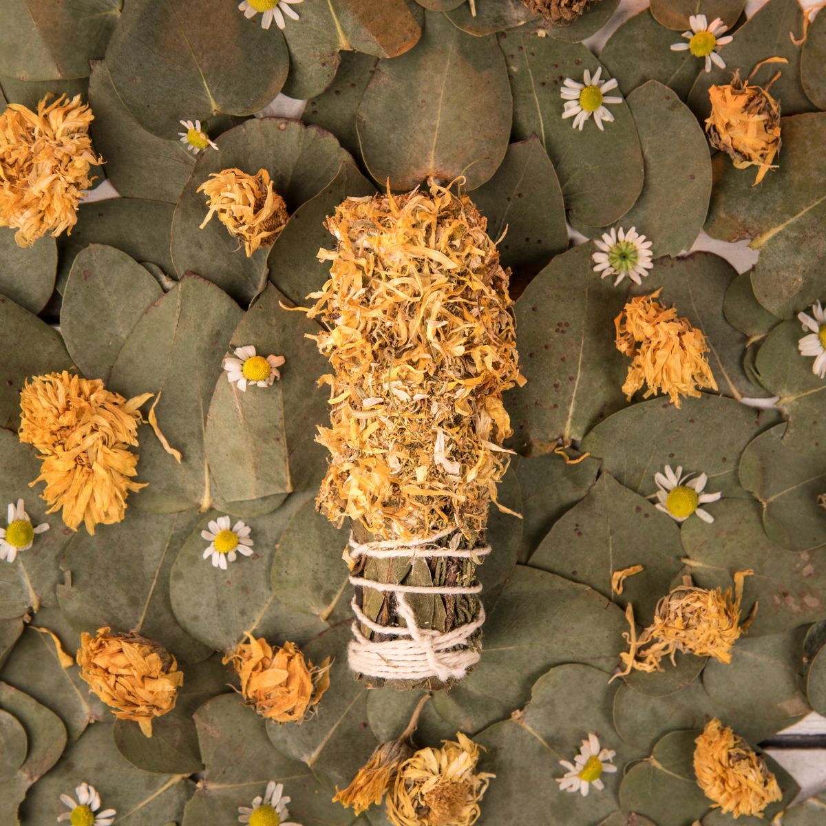 5 Sahumitos de Calendula Manzanilla
