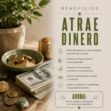 Aromatizante Spray Atrae Dinero 100 mL