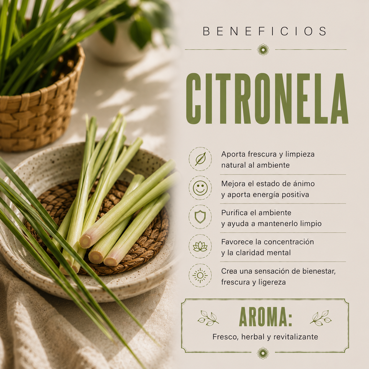 Aceite Aromático Citronela