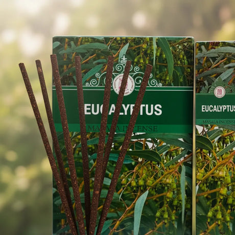 Incienso Eucalyptus