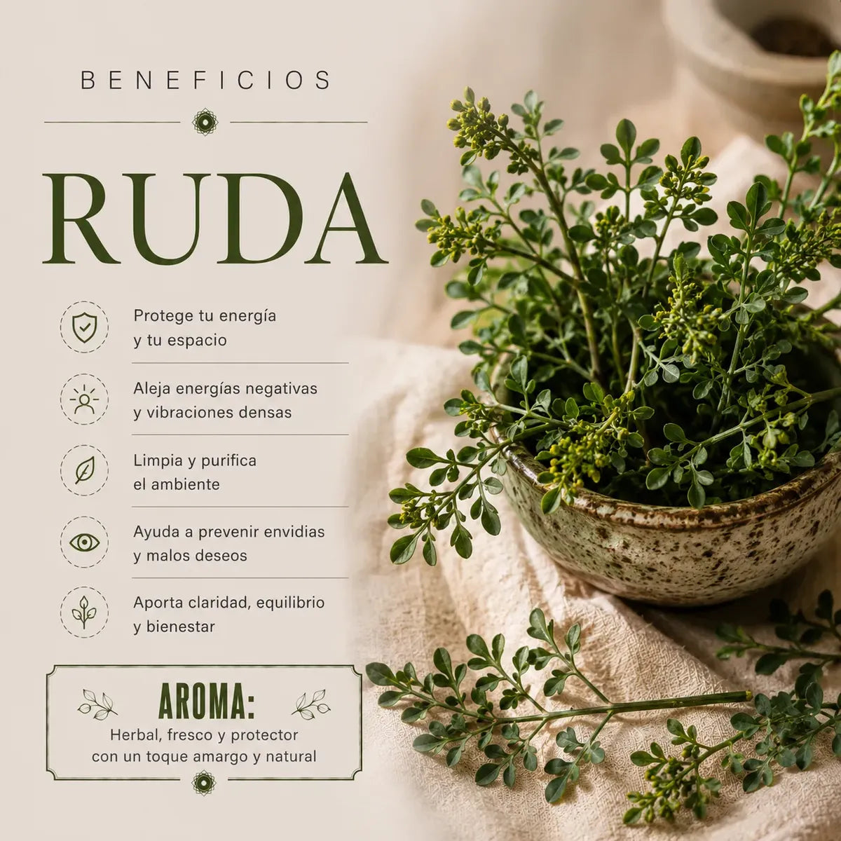 Incienso Ruda