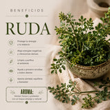 Incienso Ruda