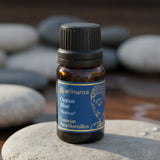 Aceite Esencial Océano Azul