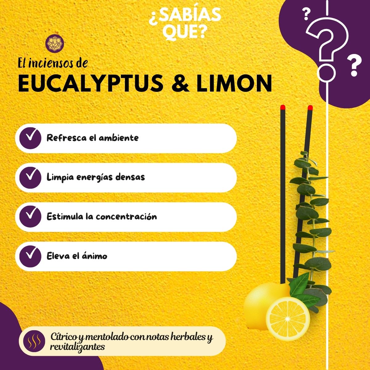Incienso Natural Eucalyptus y Limon