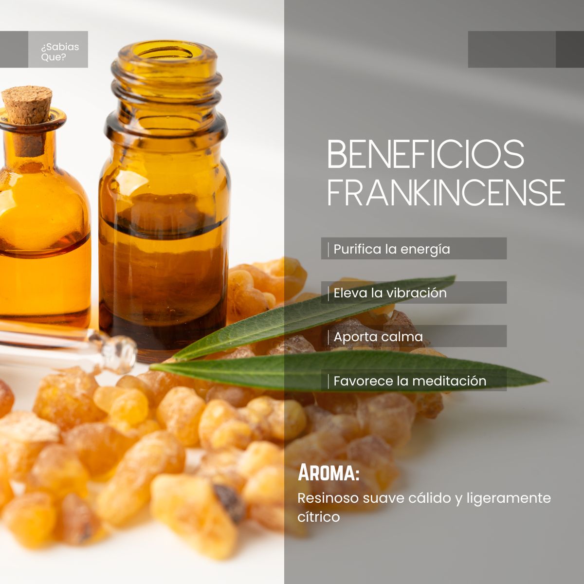 Aceite Aromático Frank Incense