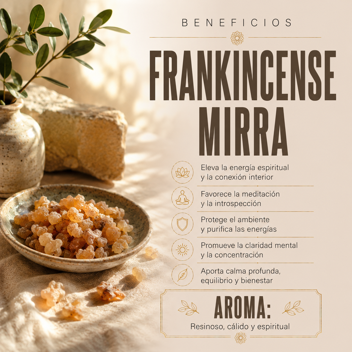 Difusor Mikado Frankincense y Mirra 150mL