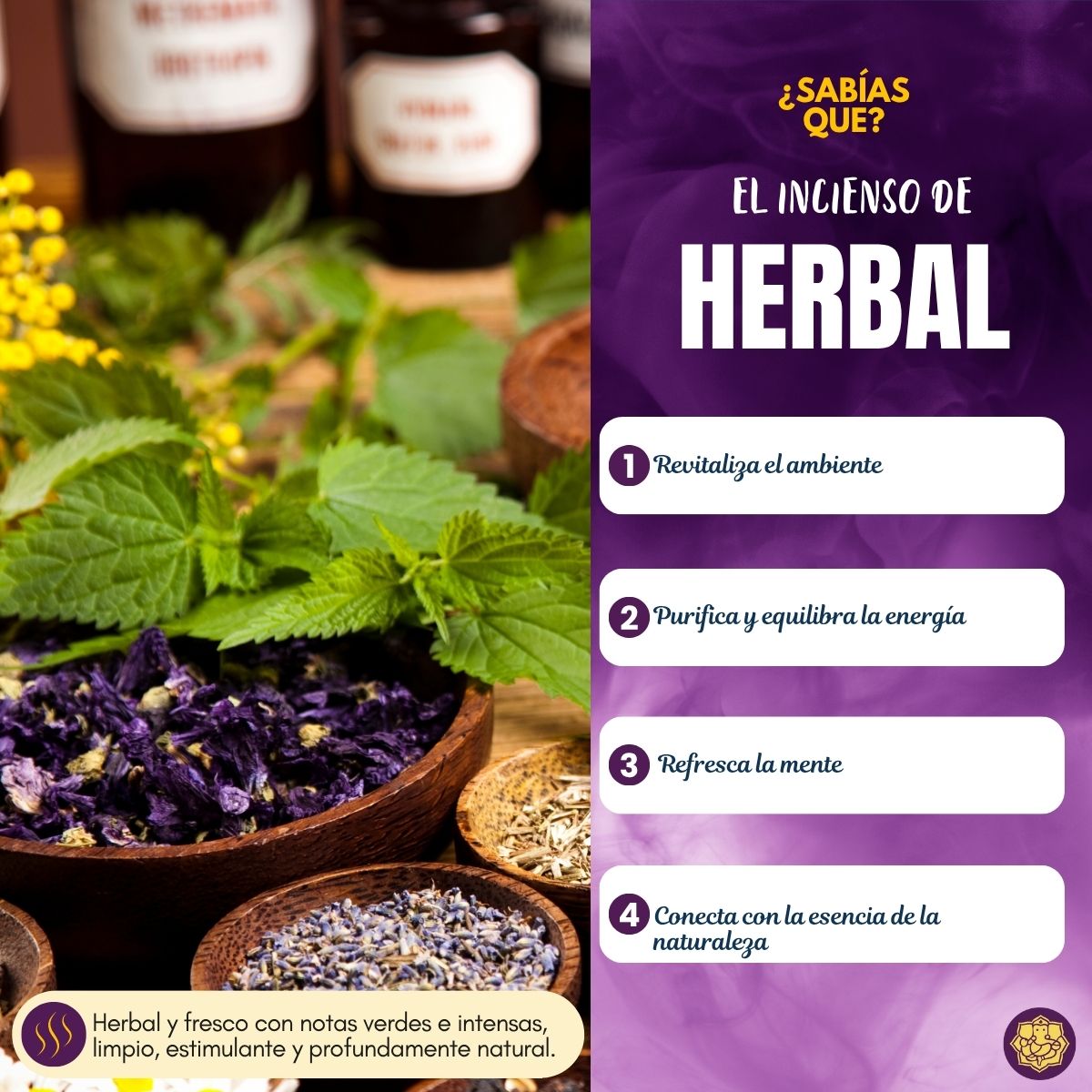 Incienso Herbal