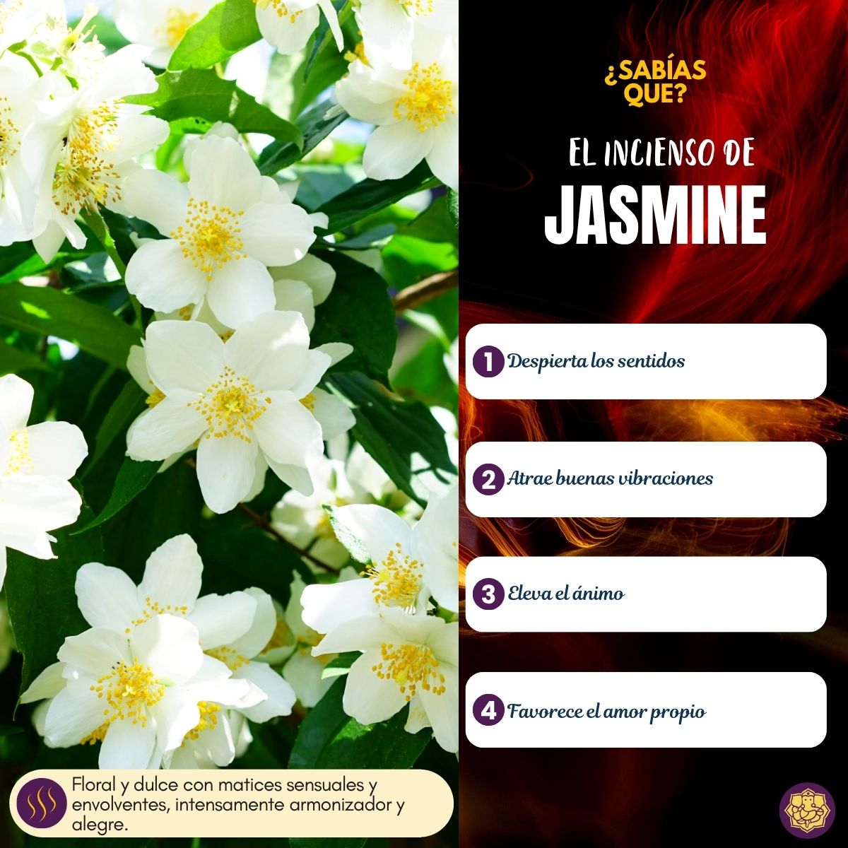Incienso Nature's Jasmine