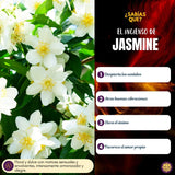Incienso Jazmin