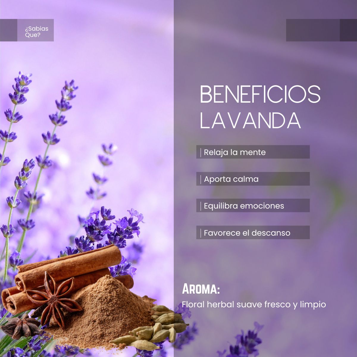 Aceite Esencial Lavanda