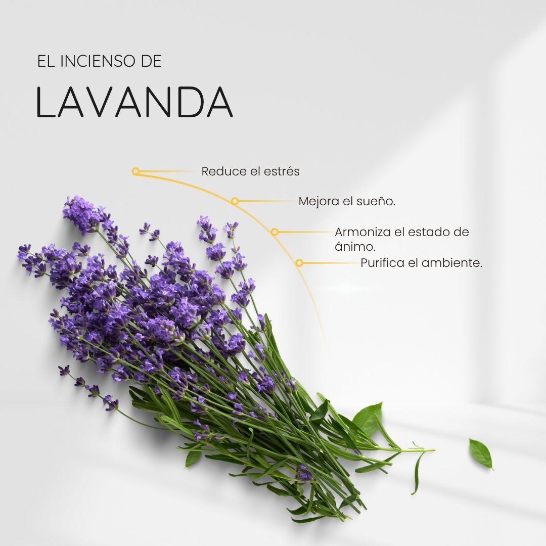 Incienso Lavanda