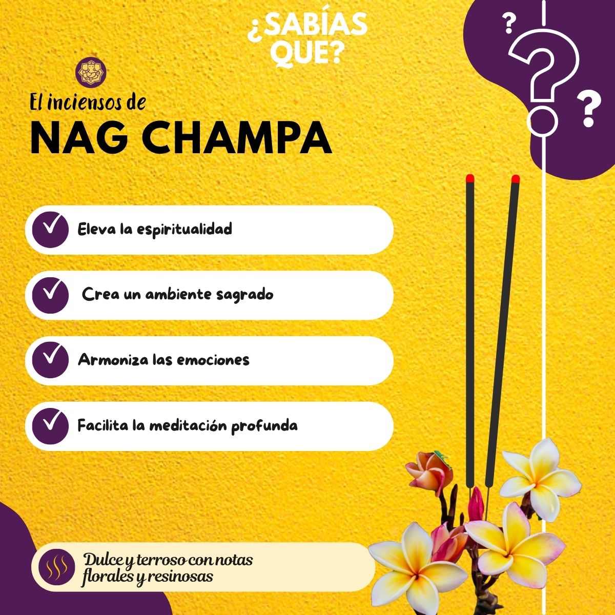 Ladrillos de Incienso Nag Champa