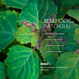 Aceite Aromático Pachulí Puro