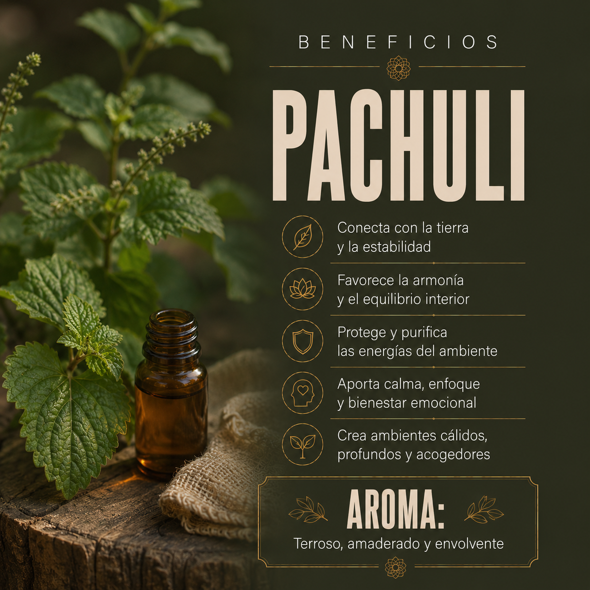 Aceite Aromático Patchouli