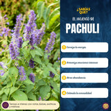 Incienso Patchouli