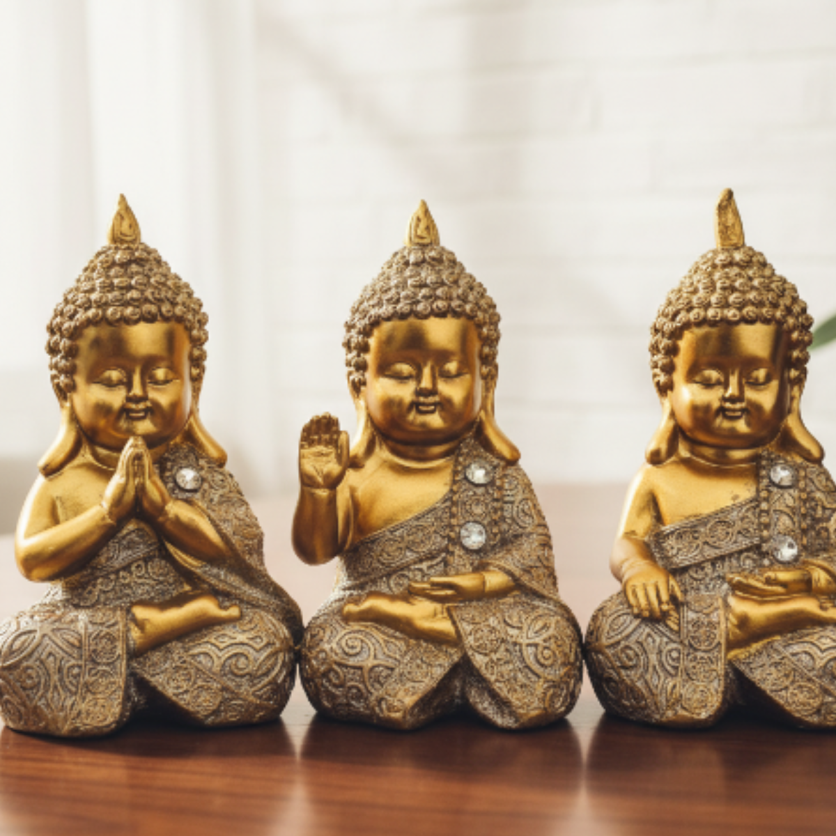 Set Buddha Mudras