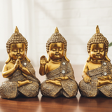 Set Buddha Mudras